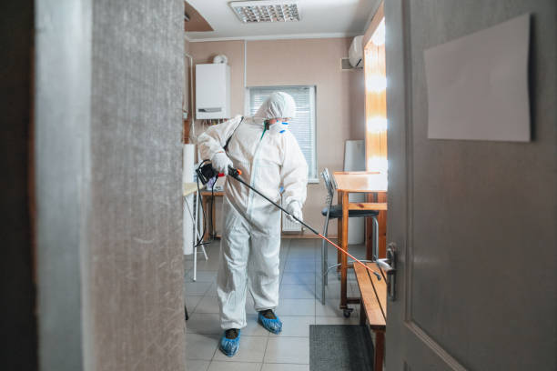 Best Mold Odor Removal Services  in Redland, AL