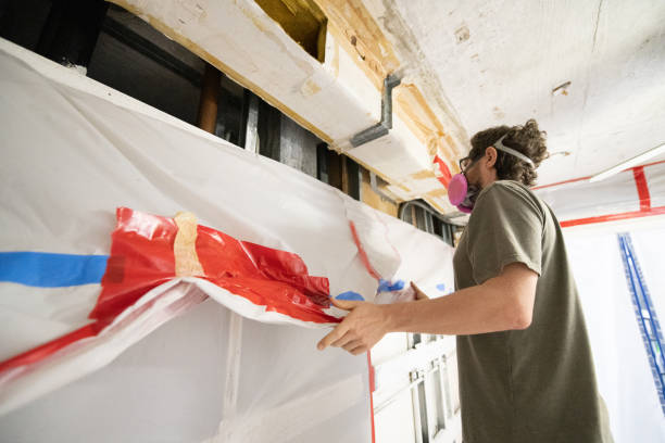 Best Black Mold Removal  in Redland, AL