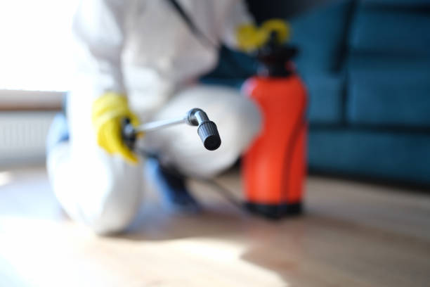Best HVAC Mold Inspection and Cleaning  in Redland, AL